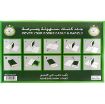 صورة روكو ورق تجليد، عادي، شفاف، 50.00 سمX 30.00 سم