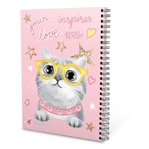 Picture of دفتر ريكورد A6-70 بناتي انسباير