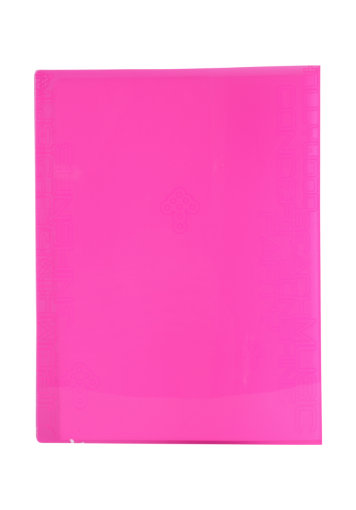 Picture of كلاس ملف جيوب كلاس 30 جيب