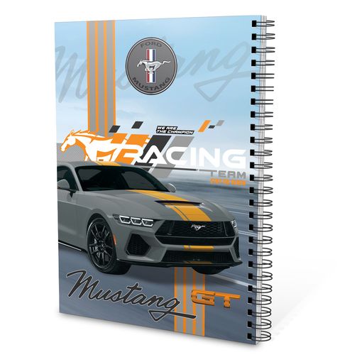 صورة دفتر ريكورد A4-100 موستنج رمادي