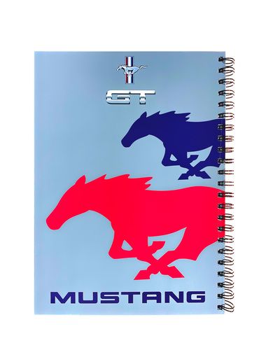 صورة دفتر ريكورد A4-100 موستنج