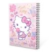 Picture of دفتر ريكورد A4-100 هيلو كيتي زهري